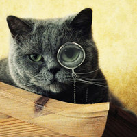 Аватар пользователя